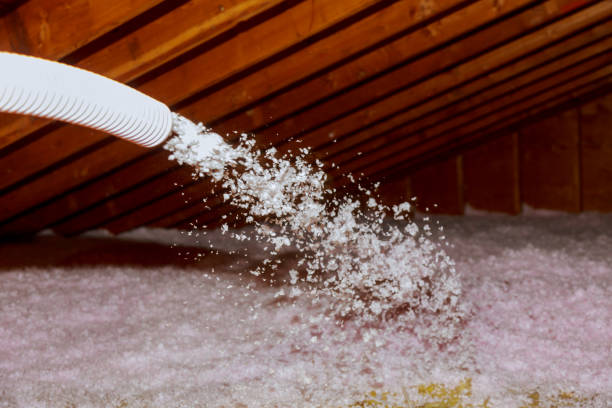 Best Insulation Removal  in Morgantown, PA