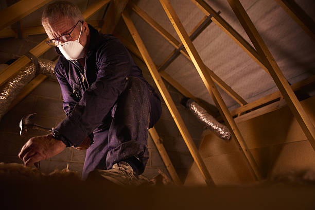 Best Affordable Insulation Services  in Morgantown, PA